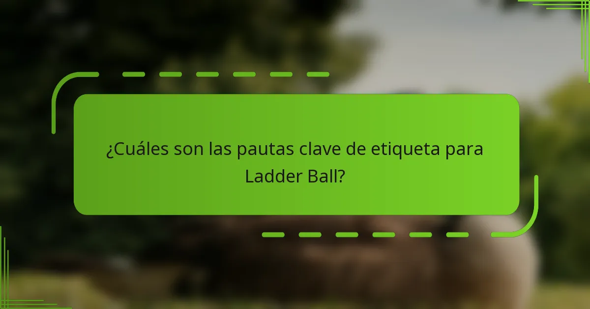 ¿Cuáles son las pautas clave de etiqueta para Ladder Ball?