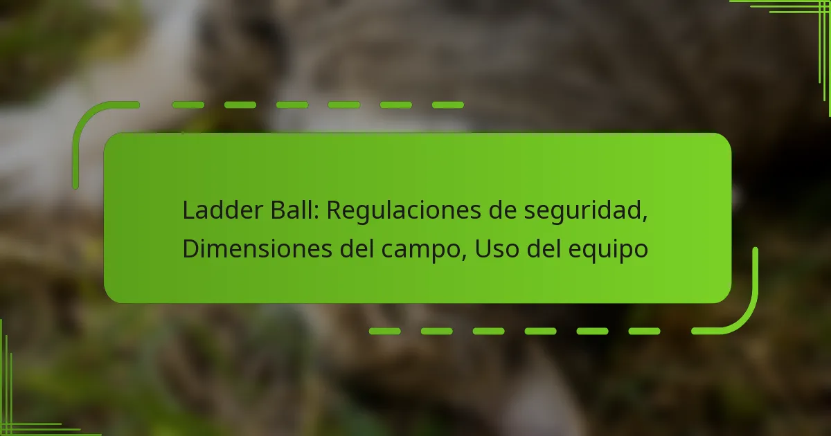 Ladder Ball: Regulaciones de seguridad, Dimensiones del campo, Uso del equipo