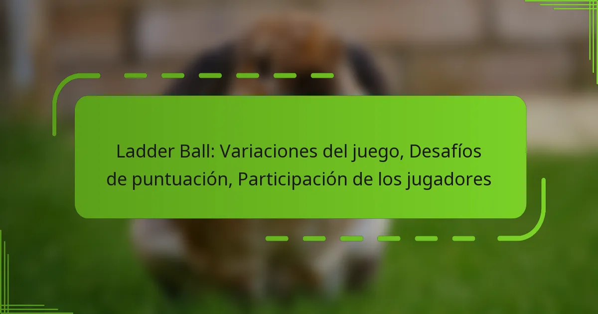 Ladder Ball: Variaciones del juego, Desafíos de puntuación, Participación de los jugadores